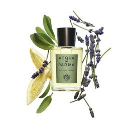Colonia Futura - Eau de Cologne Fougère-aromatisch
