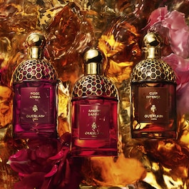 Absolus Allegoria - Santal Royal - Eau de Parfum
