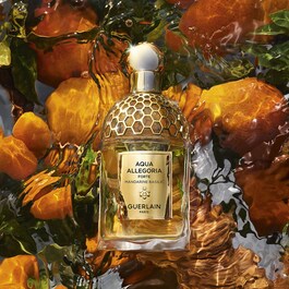 Aqua Allegoria Mandarine Basilic - Muttertagsset