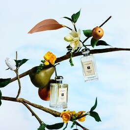 English Pear & Freesia - Kerze