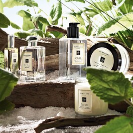 Wood Sage & Sea Salt - Duftkerze