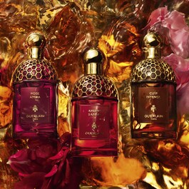 Absolus Allegoria - Epices Exquises - Eau de Parfum
