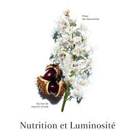 Nutri-Lumière Jour