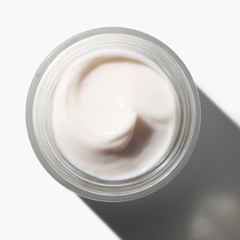 Lotus Face Cream Mini - Anti- Aging- Tagescreme mit Lotus und Hyaluronsäure