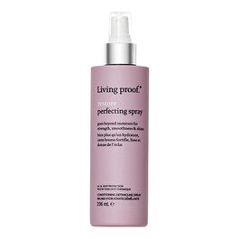 Restore Perfecting Spray - Entwirrendes Feuchtigkeits-Spray