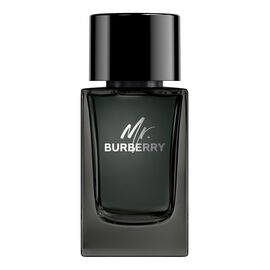 Mr. Burberry Eau de Parfum