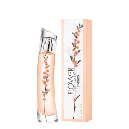 FLOWER IKEBANA MIMOSA - Eau de Parfum