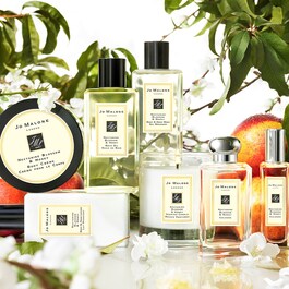 Nectarine Blossom & Honey - Cologne