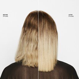 Hairdresser'S Invisible Oil Shampoo