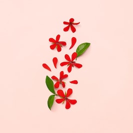 Bloom Eau de Parfum