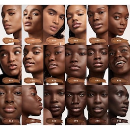 Pro Filt'r Soft Matte Powder Foundation