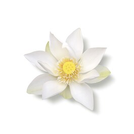 The Ritual of Karma – Nachfüllpackung Körpercreme