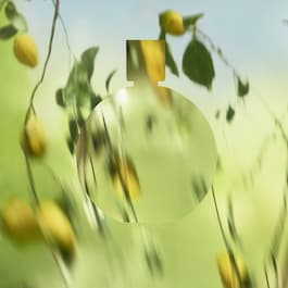 CHANCE EAU FRAÎCHE - Eau de Parfum Spray