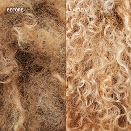 No.5P Blonde Enhancer™ Toning - Conditioner