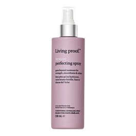 Restore Perfecting Spray - Entwirrendes Feuchtigkeits-Spray