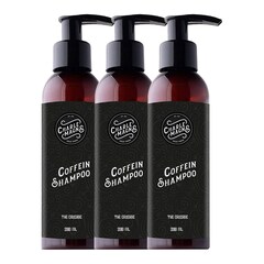 Coffein Shampoo - Trio, CHARLEMAGNE