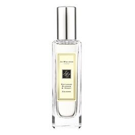 Nectarine Blossom & Honey - Cologne