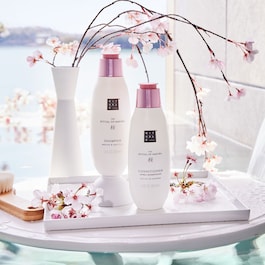 The Ritual of Sakura Conditioner