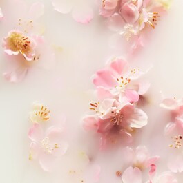 The Ritual of Sakura Shampoo