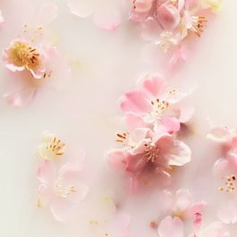 The Ritual of Sakura Body Scrub