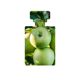 Apostle Skin-Brightening Serum