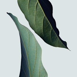 Botanical Repair ™ Stärkende - Leave-in Pflege