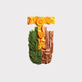 Impact - Eau de Toilette 