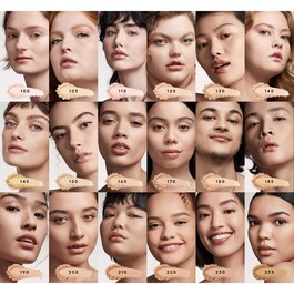 Pro Filt'r Soft Matte Powder Foundation
