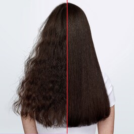 Frizz Dismiss - Conditioner