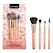 KIT PINC VOYAGE-21 BTG