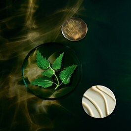 Future Solution LX - Infinite Treatment Primer