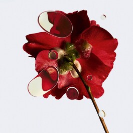 N°1 DE CHANEL REVITALISIERENDES SPRAY-SERUM - Gegen Umweltschadstoffe