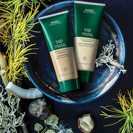 Sap Moss™ Weightless - Hydration Conditioner