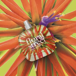  Electric Rhubarb - Eau de Parfum