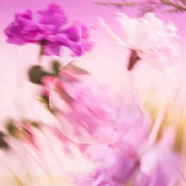 CHANCE EAU SPLENDIDE - Eau de Parfum