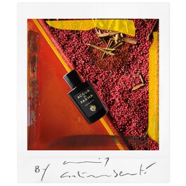 Signatures of the Sun Oud & Spice - Eau de Parfum Würzig Holzi