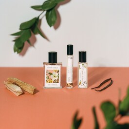 Santal Vanille - Eau de Parfum Roll-On