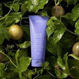 Blonde Revival™ - Purple Toning Conditioner