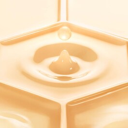 Abeille Royale Fortifying Lotion - Stärkende Gesichtslotion