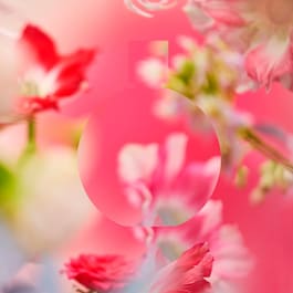 CHANCE EAU TENDRE - Eau de Parfum Zerstäuber