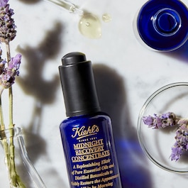 Midnight Recovery Concentrate Oil