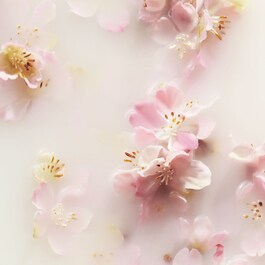 The Ritual of Sakura - Handbalsam