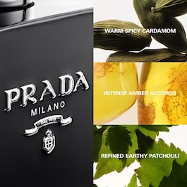 L'Homme Prada Intense - Eau de Parfum