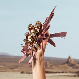 Q By Dolce & Gabbana Eau de Parfum mit fruchtigen, blumigen und holzigen Noten