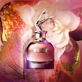 Scandal - Eau de Parfum - Noten von Gardenie, Honig & Patchouli