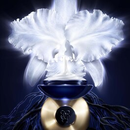Orchidée Impériale - Leichte Creme