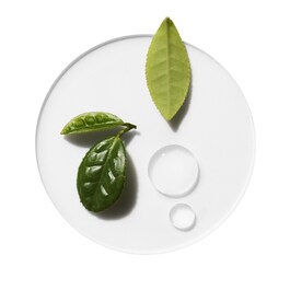 Moisture Surge - Hydrating Supercharged Concentrate