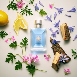 Pour Homme - Eau de Toilette