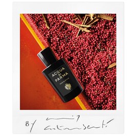 Signatures of the Sun Oud & Spice - Eau de Parfum Würzig Holzi