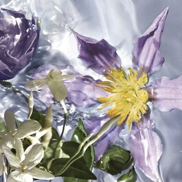 Aqua Allegoria - Flora Salvaggia Eau de Toilette 